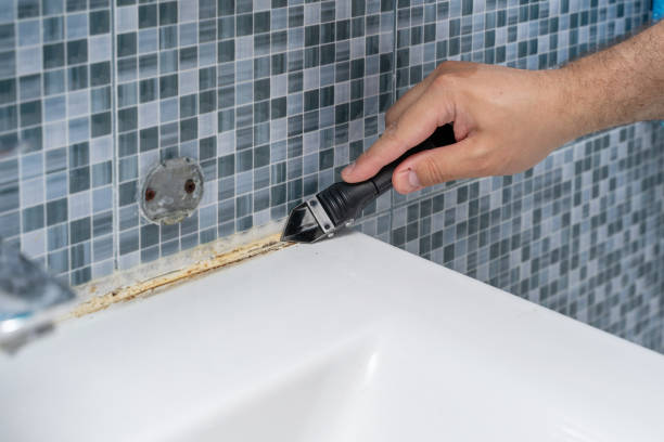 Best Office Mold Removal Services  in Bay Pines, FL